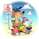 zoost's Avatar