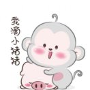 田先生的头像