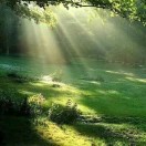 券妈妈会员: 淡淡的微笑