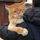 閆老師