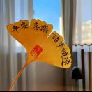 用户头像: