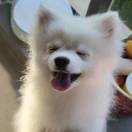 张翔的头像-熵减岛