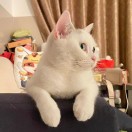 HPJ's Avatar