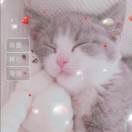 迷失幻境的演奏视频