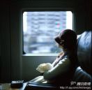 梦语惜华