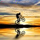 五环下的幽灵店主头像