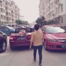 命里有时终须有