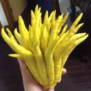 Every day 亮ಠ_ರೃ