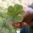 驾校办公室15136846457