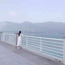 大喵
