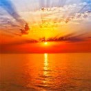 张鑫雨 - 你在他乡还好吗 (DJ版)