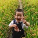 李俊伟