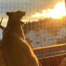 嘻嘻哈哈呵呵哒哒