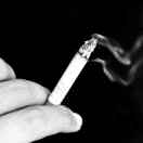 营山县清水乡黄明