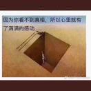 九紫平西