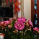 徐佼的个人空间