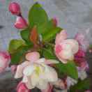 止水的头像-博士钣金 - www.bsbanjin.com