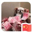 张清波收藏了设计得到会员专享资料（每周五更新）