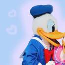 Freed和Haruka的爸爸