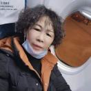 代梅