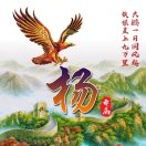 杨先生的头像