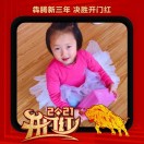 用户发起投诉