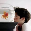 盛庆宇的头像-外科技术网