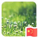 wx_轻轻的风83