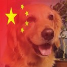 李女士