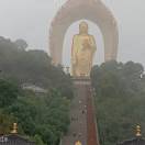 白先生
