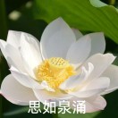 十四