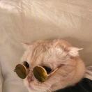 用户55032119的头像-熵减岛