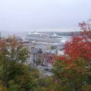 云南康绿佳宋丽萍