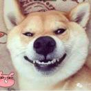 闫先生的头像