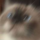 null转租&房东直租