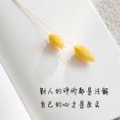 用户评价