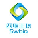 郑州四维---买新康