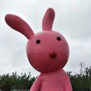 wb153313's Avatar