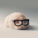 罗文博