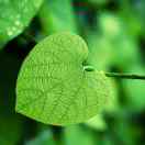 海康总代清风智能化闫