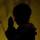 飞蓬,重楼,景天,王不留行