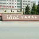 肩上蝶肩上蝶