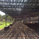 Profile picture of ansonguojun