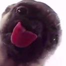十点睡觉