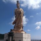 陈雨桐