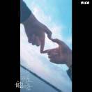 杨先生的头像