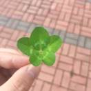 一缕阳光