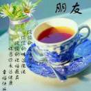 飛雪陽春