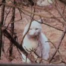 mdzz6667的头像-日本！日本语