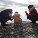 红星闪闪放光彩的演奏视频